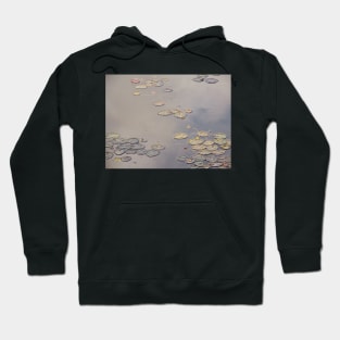 A Floating World Hoodie